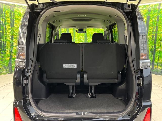 24849488_carP_l_5.jpg