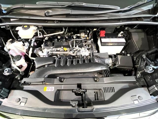 25303549_carP_l_16.jpg