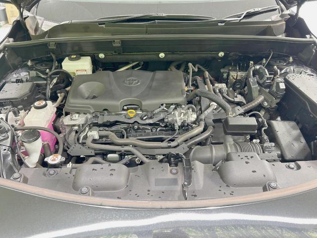 24260181_carP_l_16.jpg