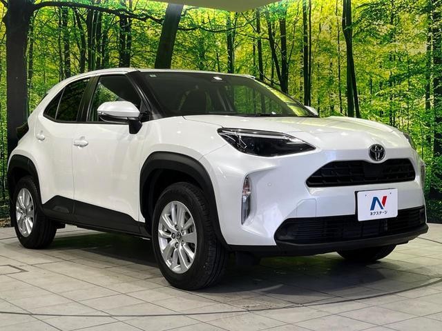 26002625_carP_l_11.jpg