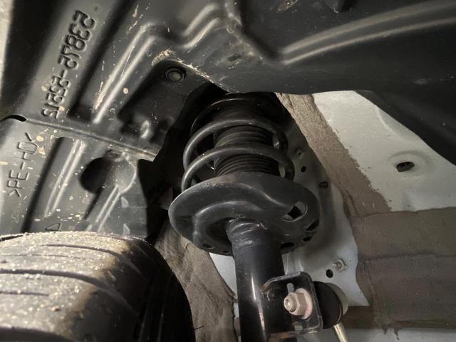 26002625_carP_l_20.jpg