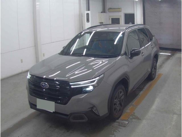 25617832_carP_l_10.jpg