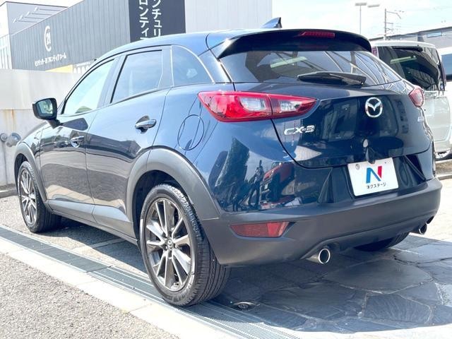 25549066_carP_l_20.jpg