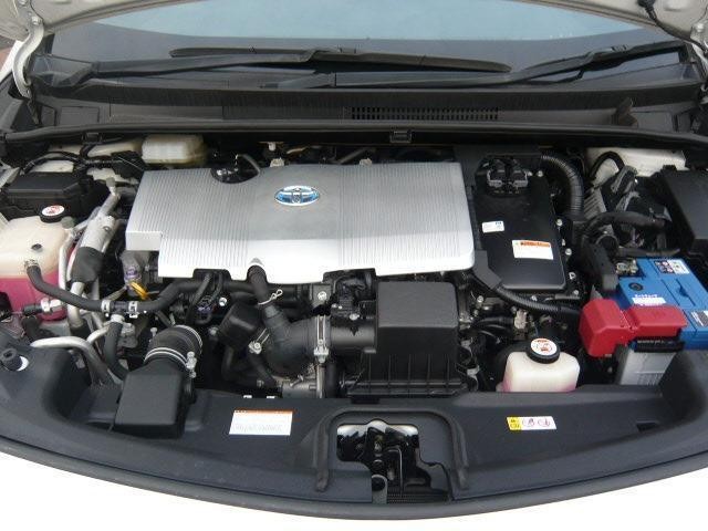 25521892_carP_l_5.jpg