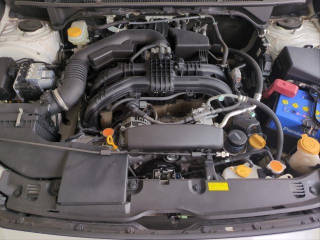 26228750_carP_l_17.jpg