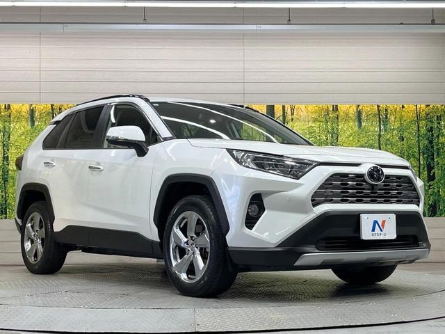 25506765_carP_l_11.jpg