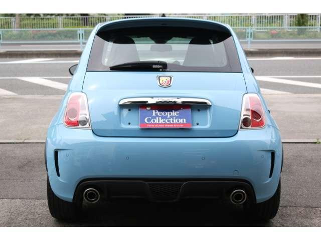 24283728_carP_l_17.jpg