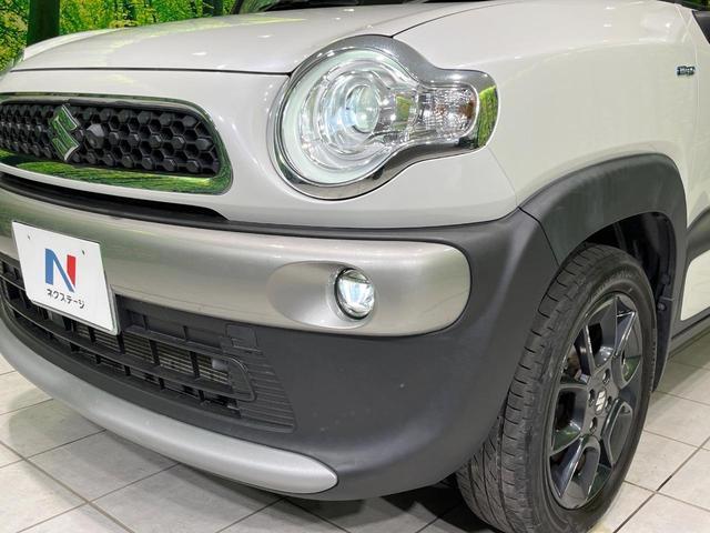 24340693_carP_l_6.jpg
