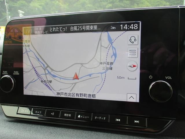 26550409_carP_l_7.jpg