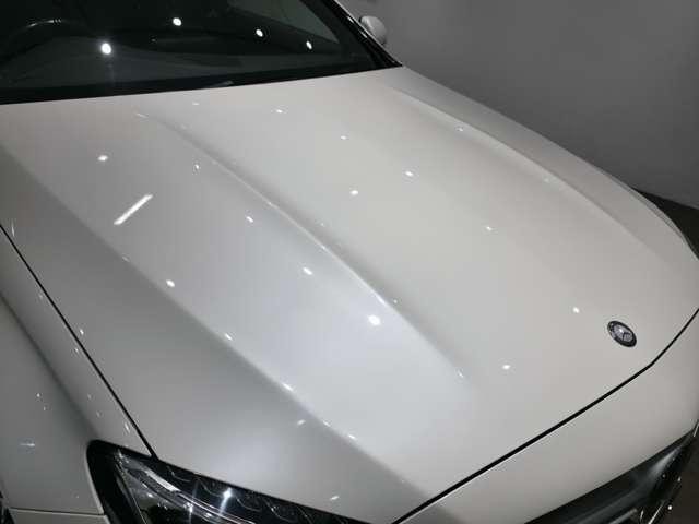 25094606_carP_l_6.jpg