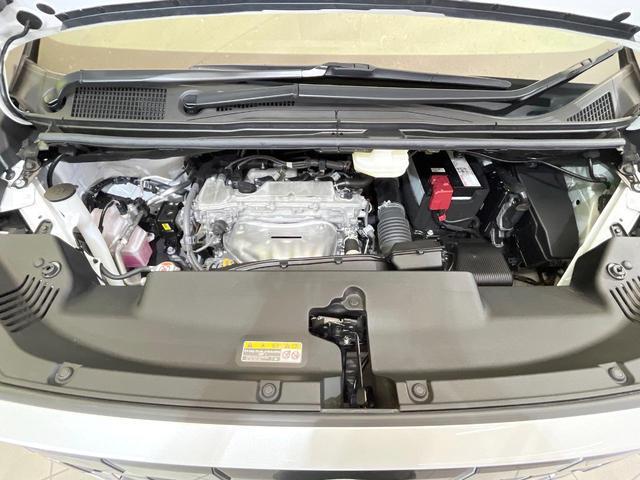 24849359_carP_l_11.jpg