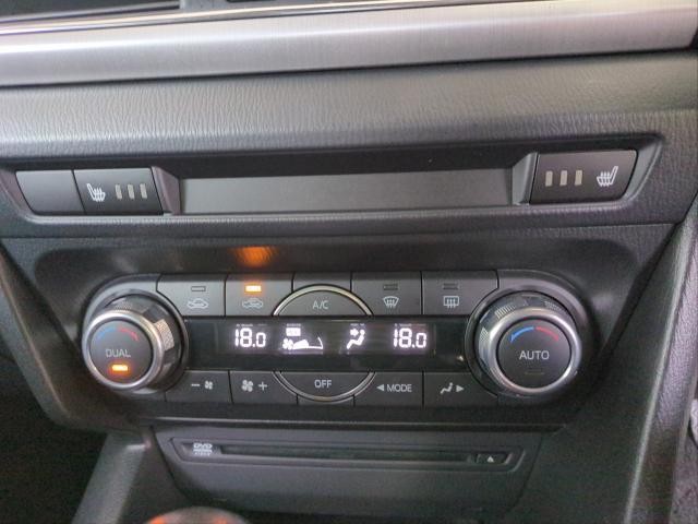 26533060_carP_l_20.jpg