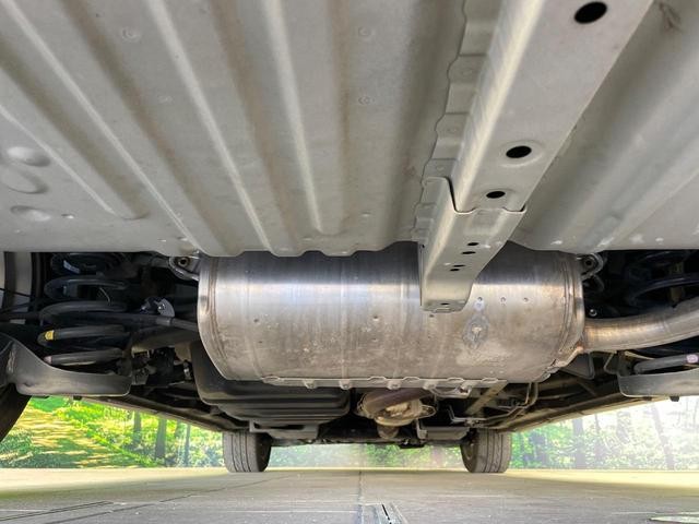 24953662_carP_l_20.jpg