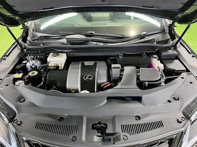 24968516_carP_l_6.jpg