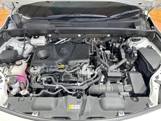 25405277_carP_l_16.jpg