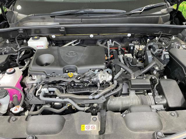 24155846_carP_l_16.jpg