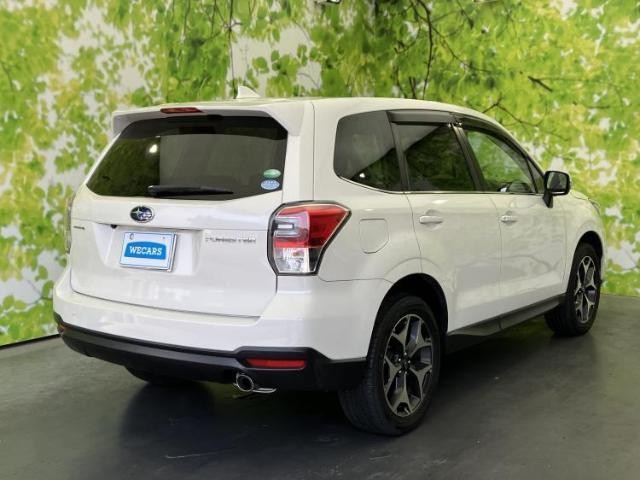 24035834_carP_l_15.jpg