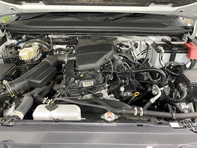 24155622_carP_l_16.jpg