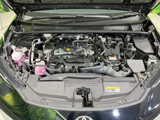 24340694_carP_l_16.jpg