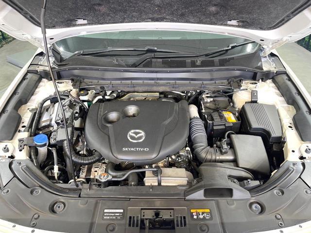 24319842_carP_l_12.jpg