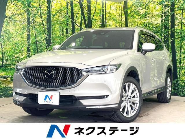 25571946_carP_l_1.jpg