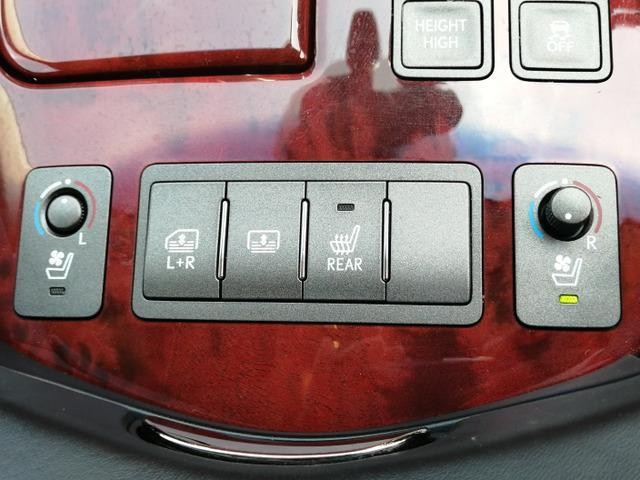 24973264_carP_l_11.jpg