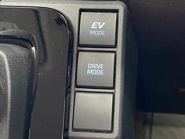 22752952_carP_l_19.jpg