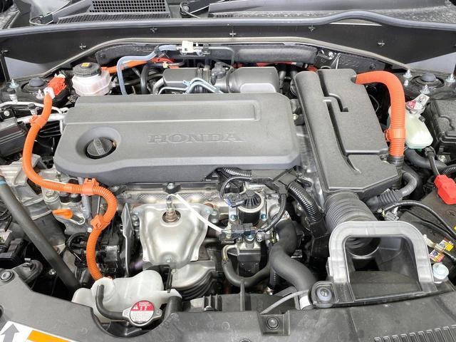 26293445_carP_l_16.jpg