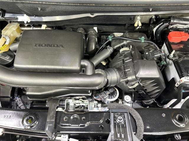 25694658_carP_l_16.jpg