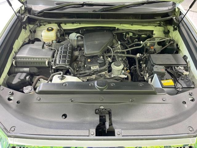 25847918_carP_l_18.jpg