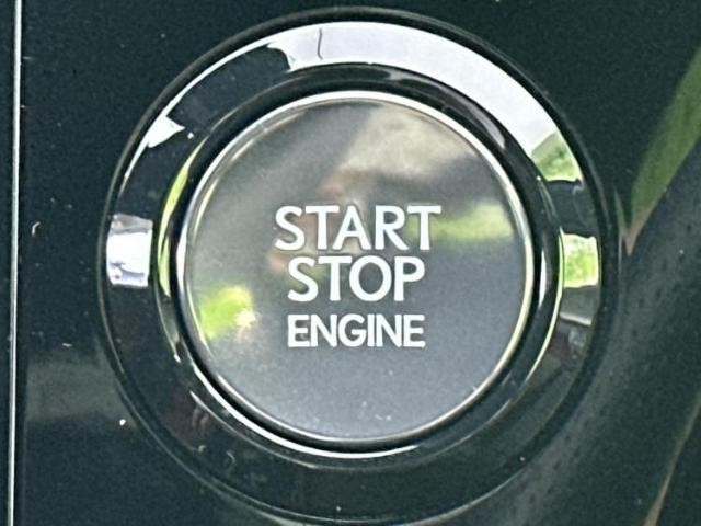 24044521_carP_l_7.jpg