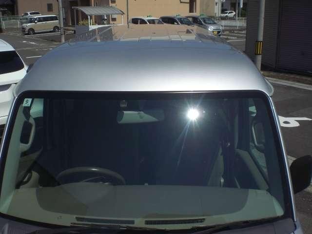 24959767_carP_l_16.jpg