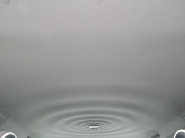 26867092_carP_l_12.jpg