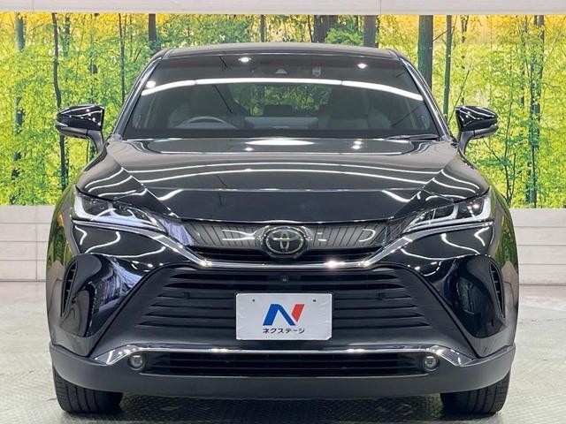 26623118_carP_l_8.jpg