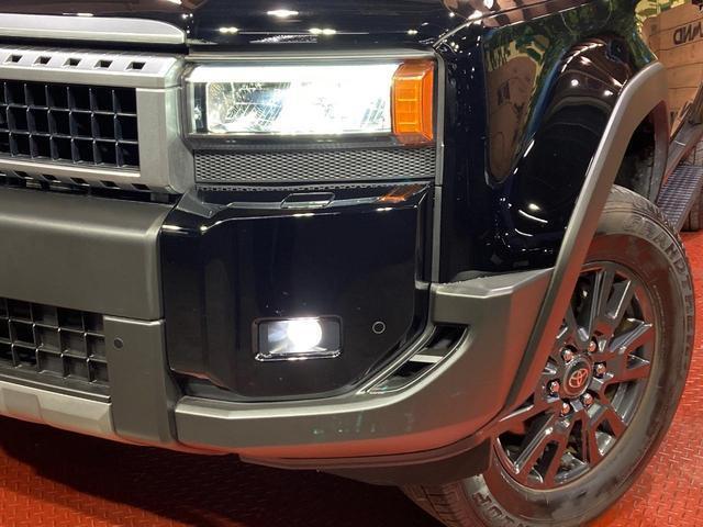 25096336_carP_l_6.jpg