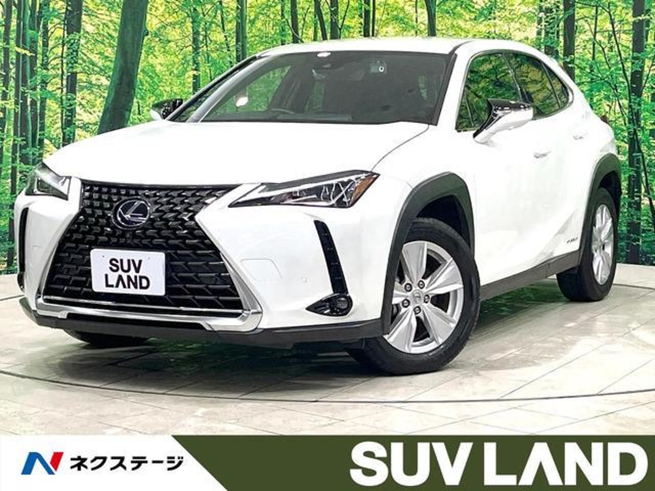 2021 Lexus Ux, photo 1 of 1