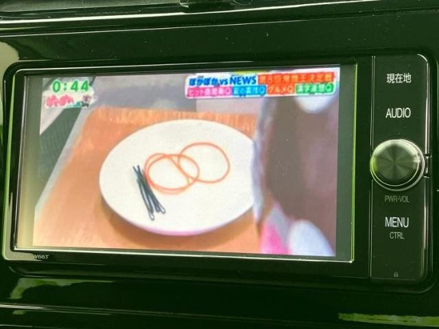 25492631_carP_l_6.jpg