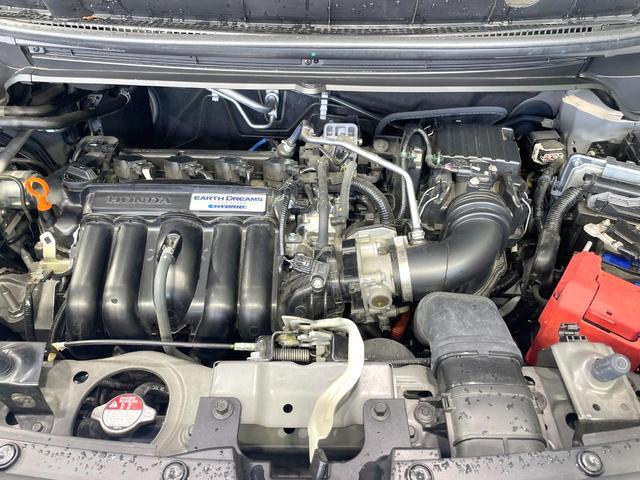 24521731_carP_l_18.jpg