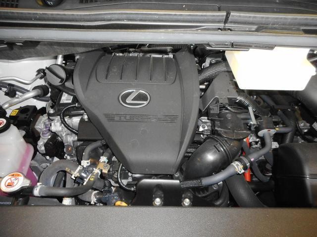 26487505_carP_l_20.jpg
