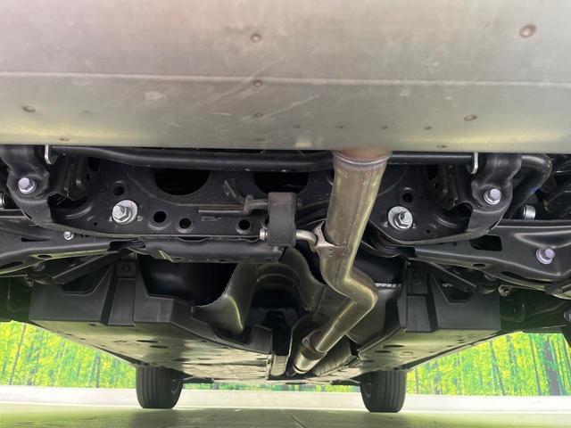 24320032_carP_l_18.jpg