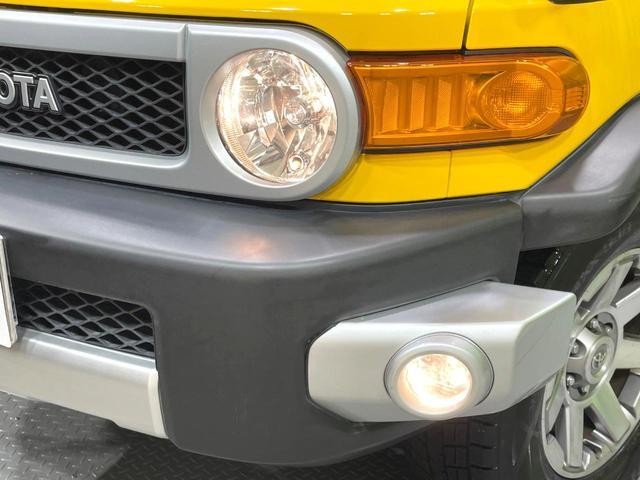 26774228_carP_l_9.jpg