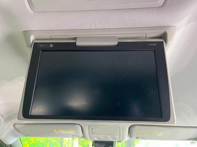 26230638_carP_l_14.jpg