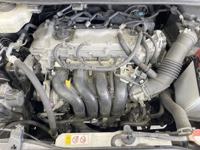 26230638_carP_l_16.jpg