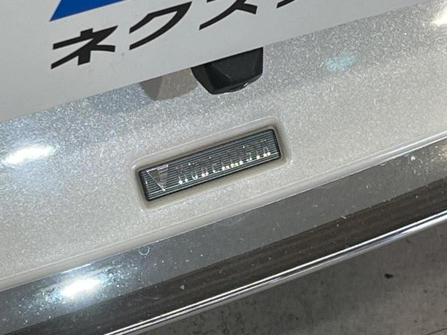 26623366_carP_l_15.jpg