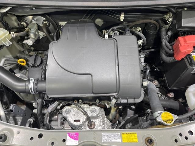 26230681_carP_l_11.jpg