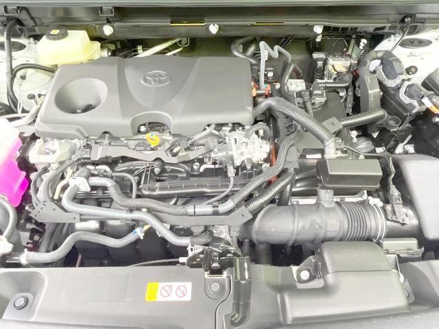 26230686_carP_l_16.jpg