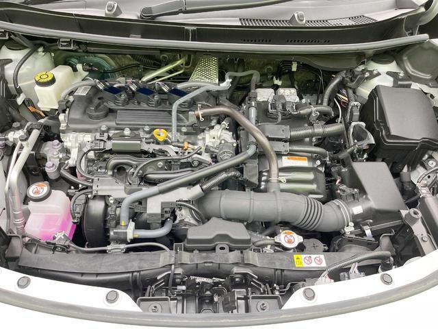 23595553_carP_l_16.jpg