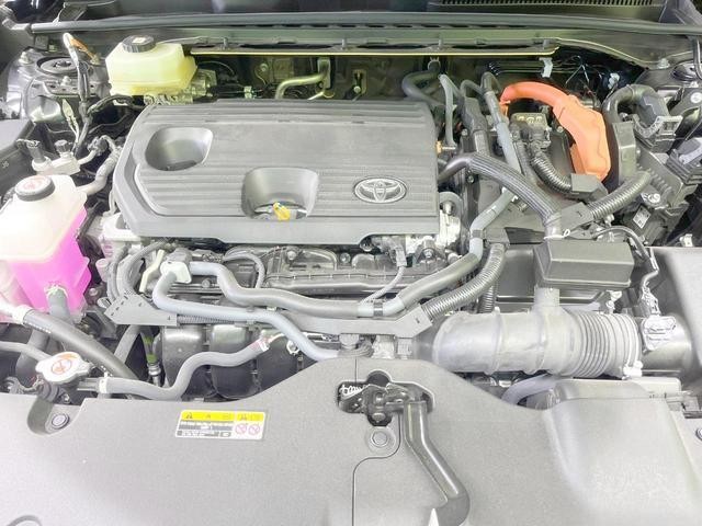 25241657_carP_l_16.jpg