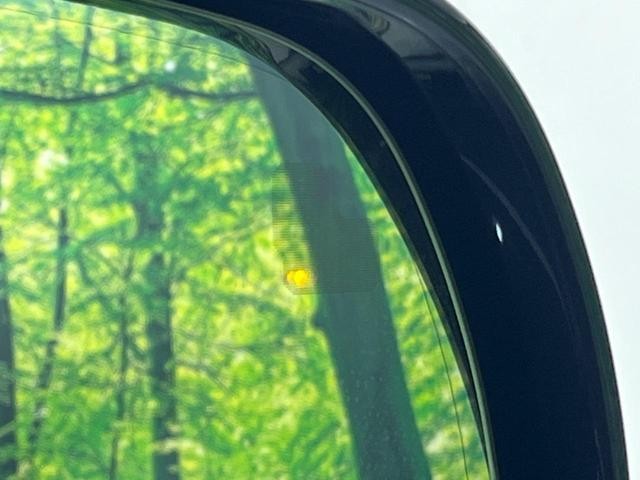 25303652_carP_l_2.jpg