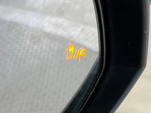25572070_carP_l_14.jpg